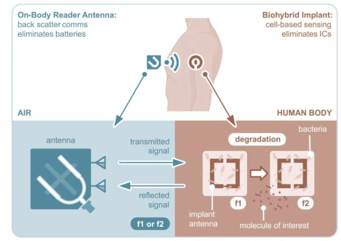 屏幕截图 2025-12-16 145402.png